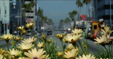 moving.gif image by fadingmemory0